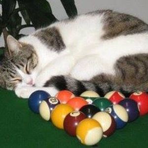 Meet your Posher, Helen